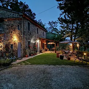 Tananei Bed & Breakfast