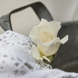 Il Giardino Di Ortensia Couette-café