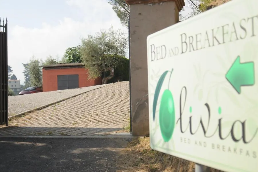 Olivia B&B And Apartment Cantagrillo Bed & Breakfast