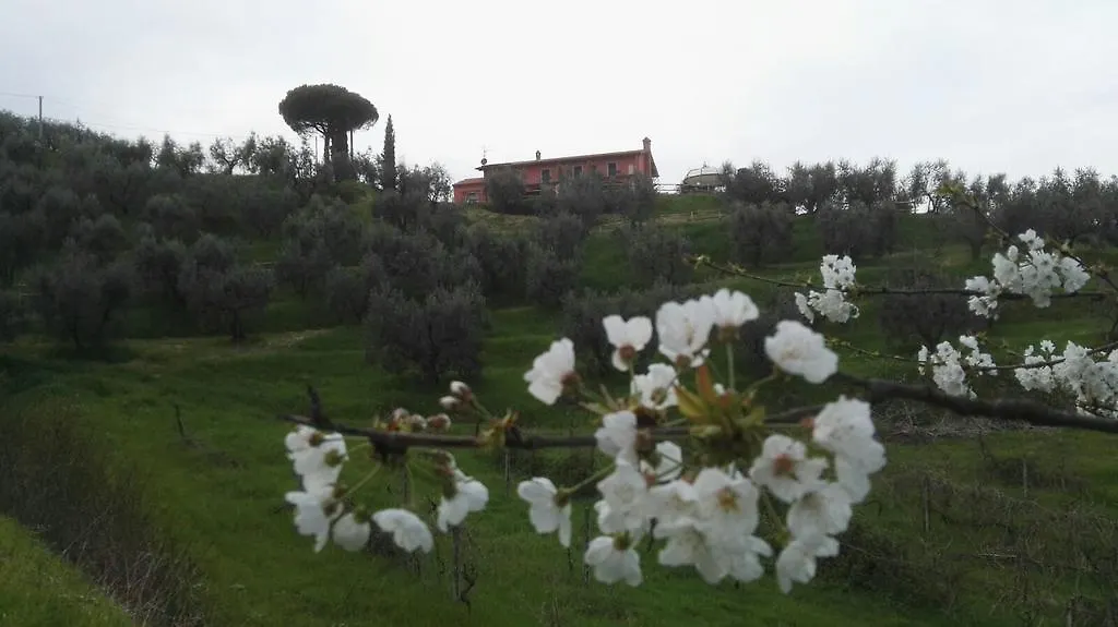 Bed & Breakfast Olivia B&B And Apartment Cantagrillo