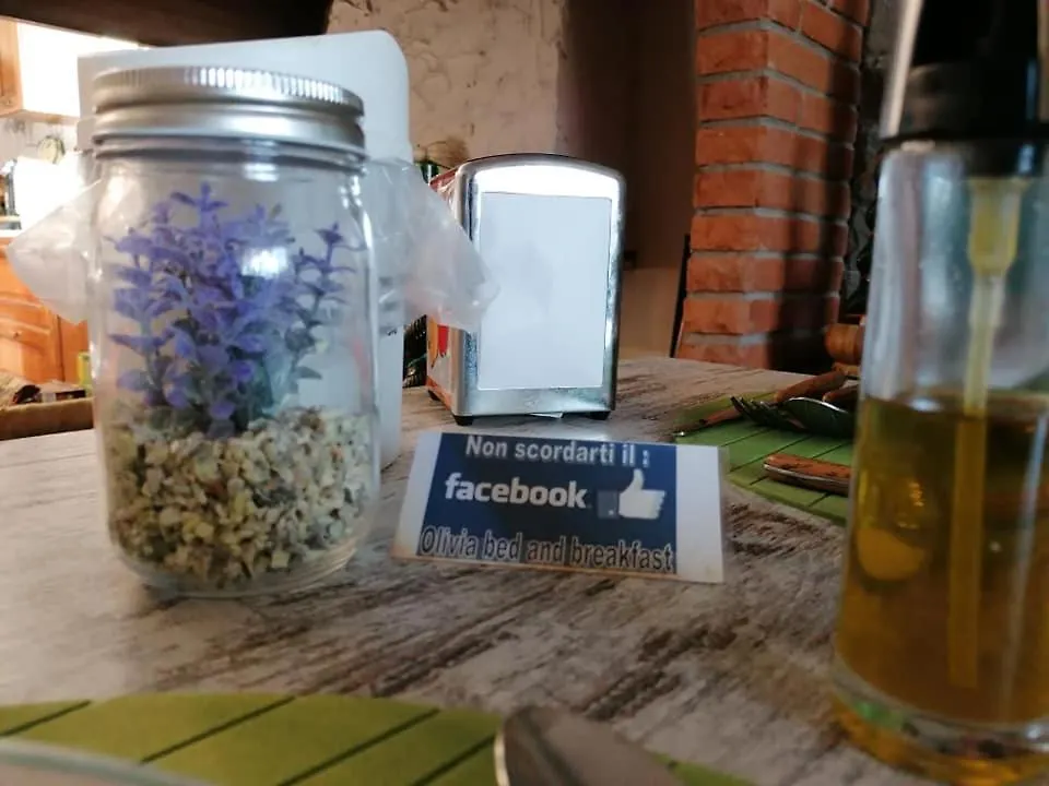 *** Bed & Breakfast Olivia B&B And Apartment Italy
