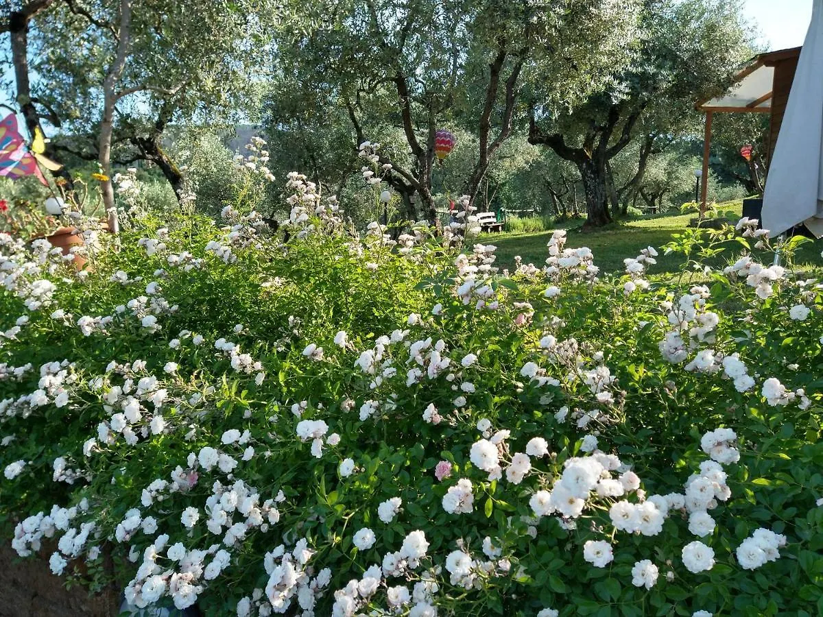 *** Bed & Breakfast Olivia B&B And Apartment Italy